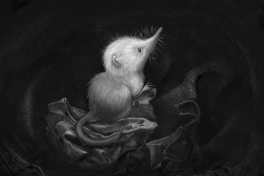LITTLE SHREW (SNOWFLAKE) Kate Bush LITTLE SHREW (SNOWFLAKE) Kate Bush